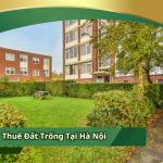 Thuê Đất Trống Tại Hà Nội