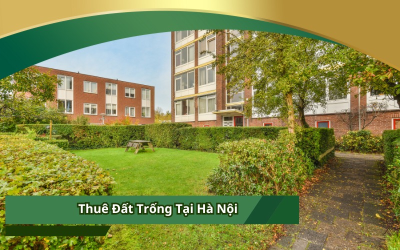 Thuê Đất Trống Tại Hà Nội